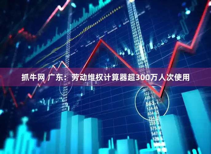抓牛网 广东：劳动维权计算器超300万人次使用