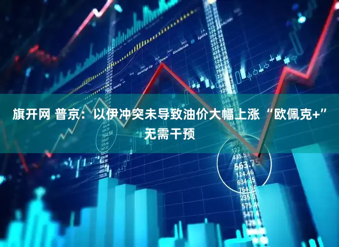 旗开网 普京：以伊冲突未导致油价大幅上涨 “欧佩克+”无需干预