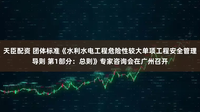 天臣配资 团体标准《水利水电工程危险性较大单项工程安全管理导则 第1部分：总则》专家咨询会在广州召开