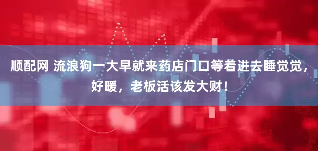 顺配网 流浪狗一大早就来药店门口等着进去睡觉觉，好暖，老板活该发大财！