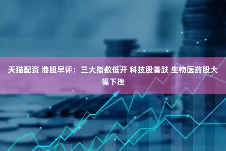 天猫配资 港股早评：三大指数低开 科技股普跌 生物医药股大幅下挫